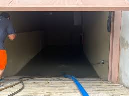 ¡Rescate Dramático! Hombre y Perro Atrapados en Ascensor Inundado en Asunción