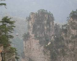 金鞭溪春景的圖片