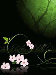 Image result for animated butterflies wallpaper