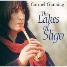 CARMEL GUNNING-O&#39;Carolan&#39;s Concerto by Conors Magic Whistles on SoundCloud ... - artworks-000048543418-yo4diw-original