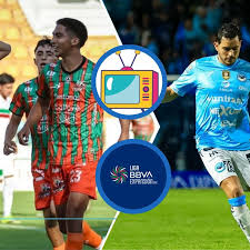 Dónde ver Alebrijes vs Jaiba Brava EN VIVO: horario, canal y pronóstico de la Jornada 14 de la Liga de Expansión MX 2026