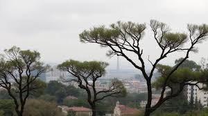 Alerta amarilla en Mendoza por viento zonda, tormentas y granizo: zonas afectadas y consejos para protegerse