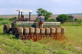 Resultado de imagen para guarico produccion agricola