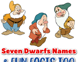 Seven Dwarfs