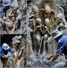 Hi all Please, ID of this insect. Location: Egypt, Qena region. | Facebook