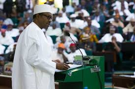 Image result for nigeria budget 2016