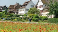 Bodensee? Oberschwaben? Das ist das beliebteste Reiseziel in Baden-Württemberg