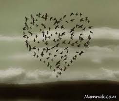 Image result for ‫عشق‬&lrm;