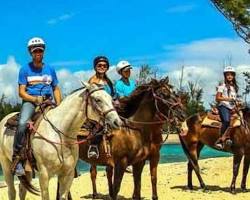 Image of Horseback Riding in Hawaii