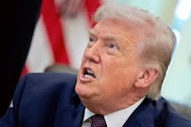 News source: 読売新聞オンライン