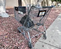 abandoned shopping cart resmi
