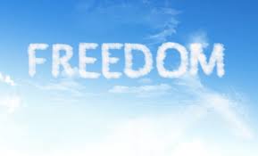 Image result for freedom