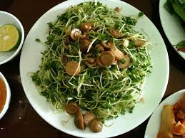 Image result for RAU MẦM CẢI XANH