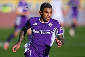 Fiorentina vs AC Milan: Serie A Week 20 Preview