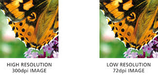 英和画像辞典：(resolution)の意味は画像で解説！見るだけで「resolution」の意味が分かる・覚えられる 