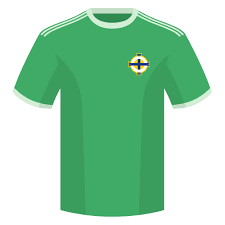 Irlanda do Norte x Guinea palpite & odds | 04.06.2026