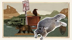 Administration redirects national park fees, rangers face staffing and safety strains
