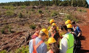 Resultado de imagen para ingenieria forestal especializacion