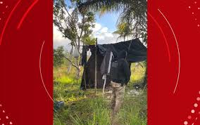 Bahia: Suspeito de Homicídios Morre em Confronto com a Polícia! 🚨