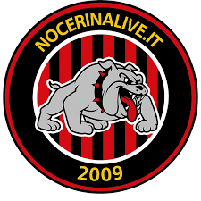 nocerina live - News update