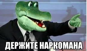 СБУ уничтожила две плантации марихуаны в районе проведения АТО - Цензор.НЕТ 4795