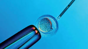 Image result for images of IVF