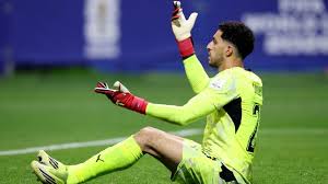 Who is Egypt's goalie, Mostafa Shoubir, at the 2026 World Cup?