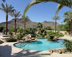 Image of palm tree and a pool