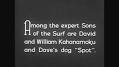 Profile Picture of Expert surfer David Kahanamoku is seen surfing with his brother and his (@imago-images.com) on Google