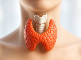 Treatments – Neolife International