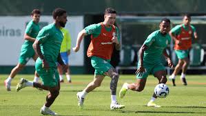 Palmeiras - News update