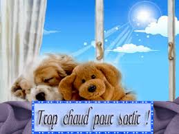 Résultat de recherche d'images pour "images trop chaud"