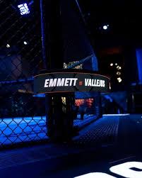 UFC Vegas 114: Argentino domina veterano e vence no primeiro round