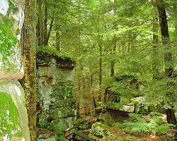 Beartown State Park in Pocahontas County WV