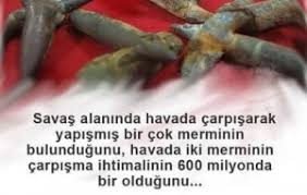 ilginç bilgiler ile ilgili görsel sonucu