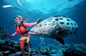  Tourist Attractions in Australia