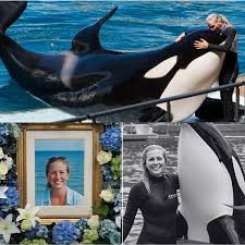 OnlyFan - SAD NEWS: Jessica Radcliffe's Last Smile Was Seconds Away From Tragedy – The Moment A Killer Whale Suddenly Changed Its Behavior, Leaving The Entire Arena Stunned In Silence...Read more below