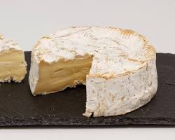 Gambar Camembert Cheese