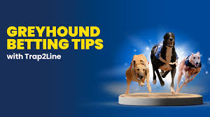 Betfred Insights - News update