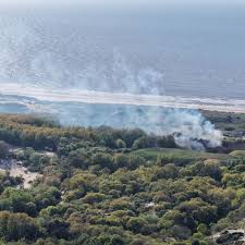 Veel rook bij duinbrand, veel wagens opgeroepen