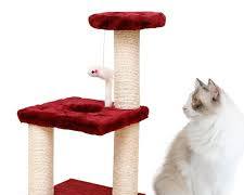 cat lying on a cat bed in a cat treeの画像