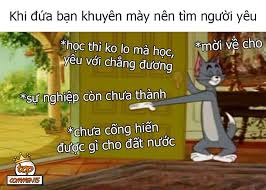 Hình thu nhỏ của kết quả tìm kiếm bằng Google Ống kính