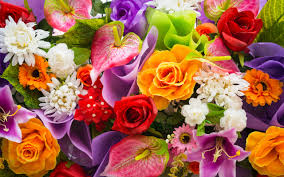 images