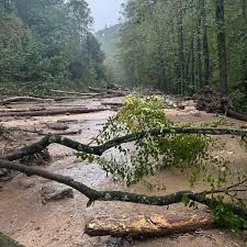 North Carolina Declares State of Emergency as Tropical Storm Imelda Approaches