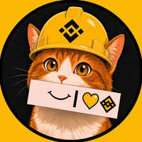Binance Cat to Indian Rupee Price Today | Live BNBCAT to INR Converter & Exchange Rate