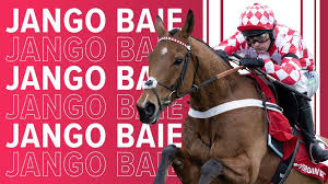 Impaire Et Passe Triumphs in Aintree's Manifesto Novices' Chase