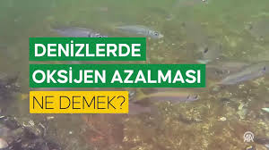 Anadolu Ajansı - News update