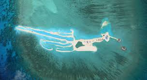 Asia Maritime Transparency Initiative - News update
