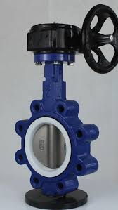 Various types of butterfly valves#butterflyvalve
