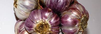 Résultat de recherche d'images pour "nouer l'ail"